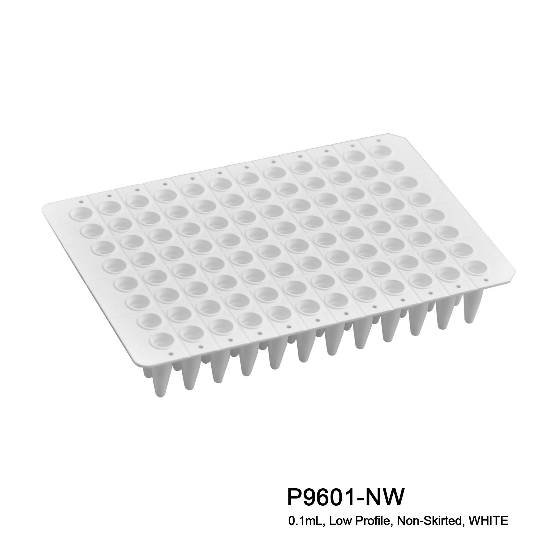 Pure•Amp™ PCR Plates - Image 4
