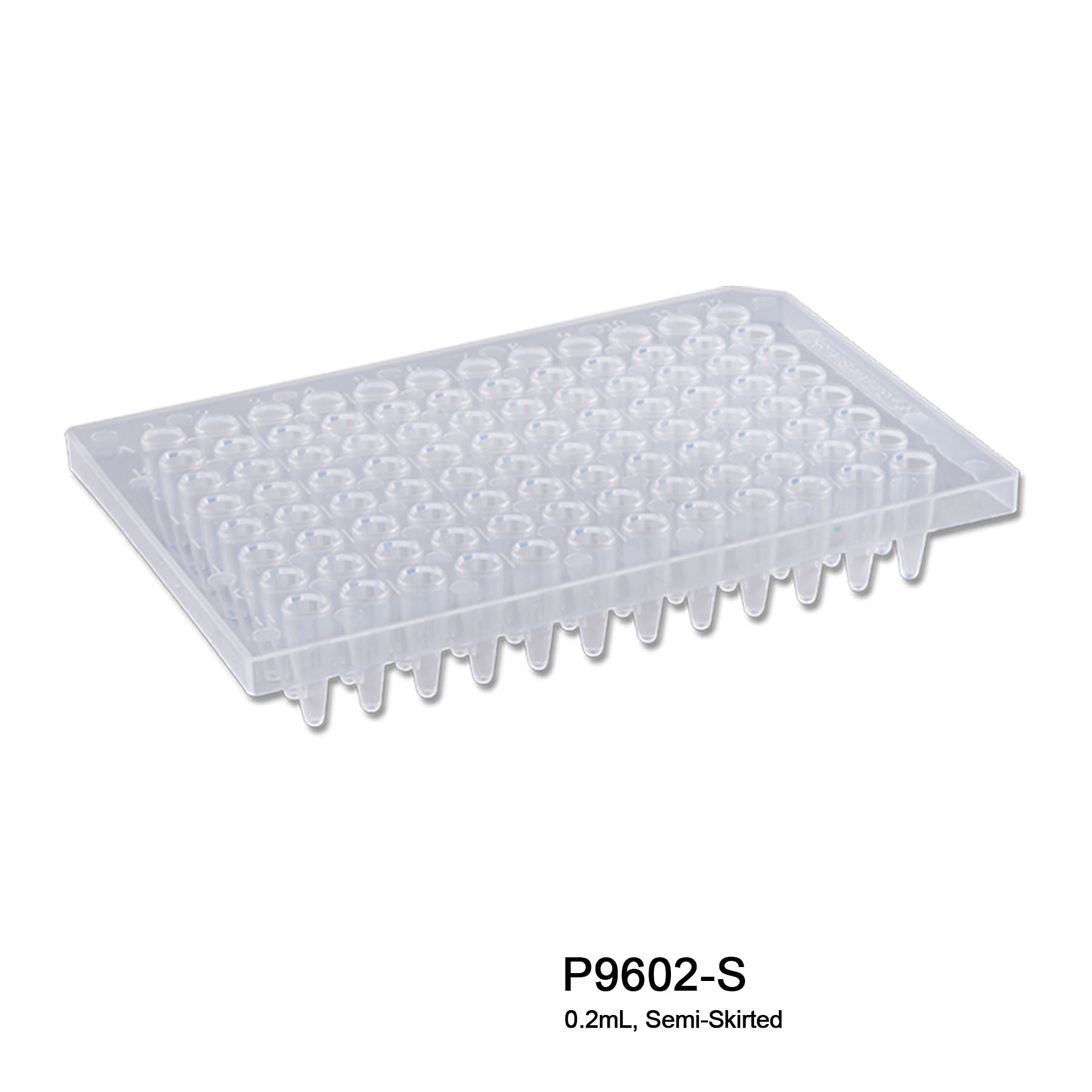 Pure•Amp™ PCR Plates - Image 12