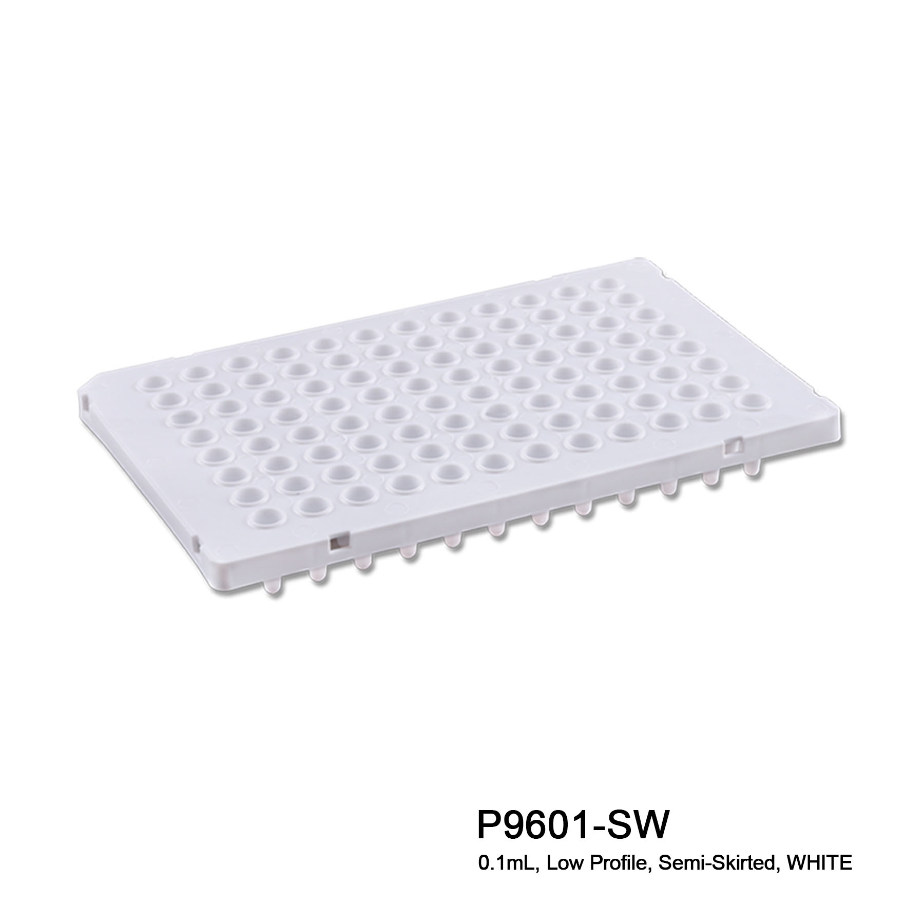 Pure•Amp™ PCR Plates - Image 6