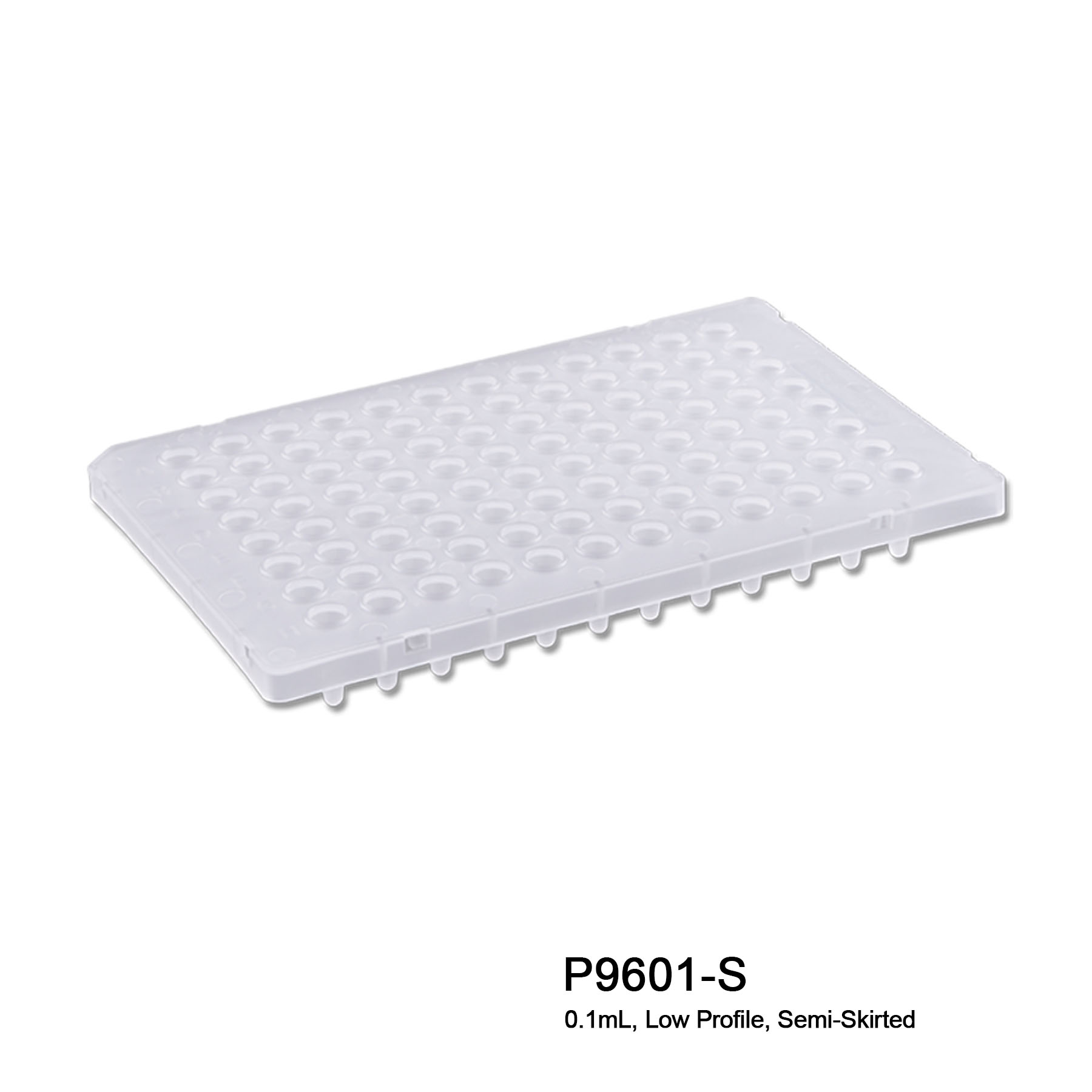 Pure•Amp™ PCR Plates - Image 5